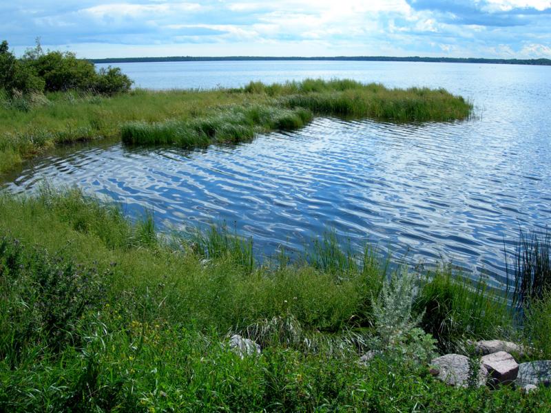 Grankullaviken 2