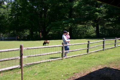 The Friendly Farm
