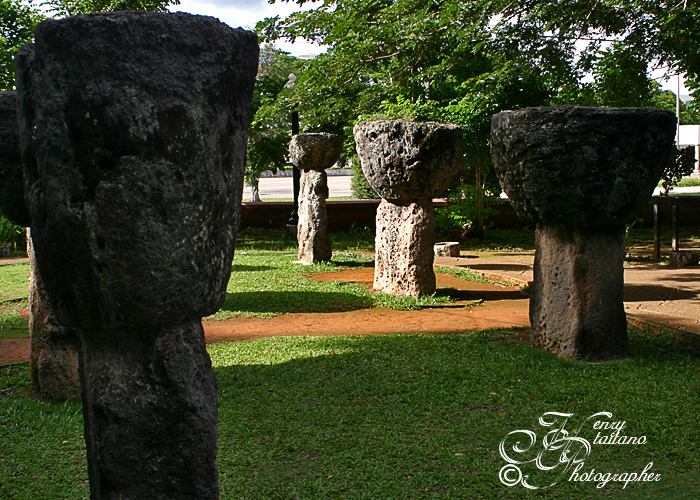IMG0058.jpg