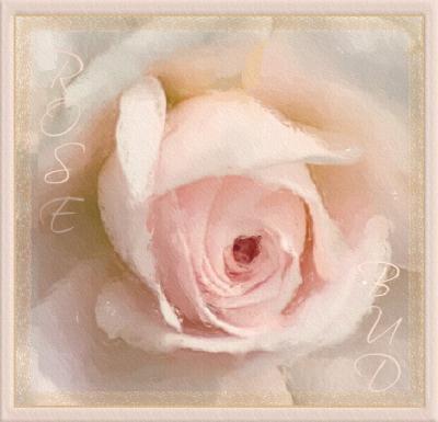 v3/40/544040/3/45935619.RoseBudPaintingbyjudi.jpg