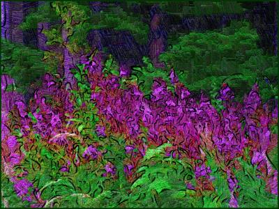 Purple-wildflowers.jpg