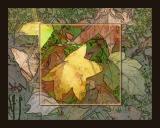 Fallen-Leaves--by-judi.jpg