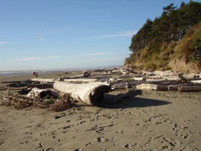 05 - North on the Beach.jpg