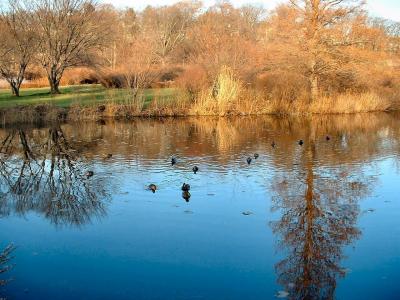 Roger Harrison's Gallery