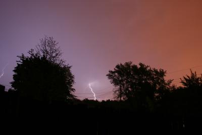 IMG_6694p.jpg