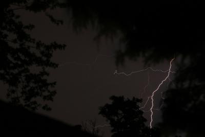 IMG_9259p.jpg