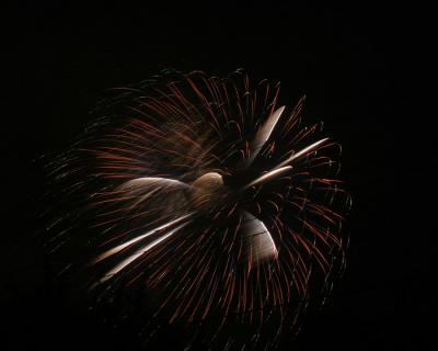 IMG_7254p.jpg