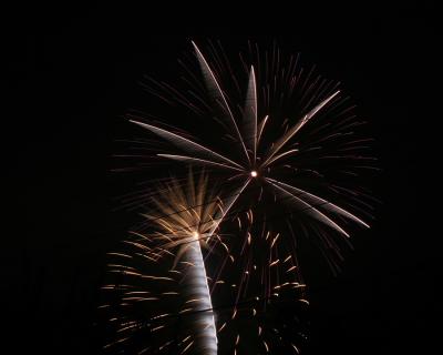 IMG_7261p.jpg
