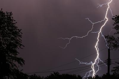 IMG_1094p.jpg