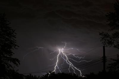 IMG_1197p.jpg
