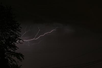IMG_1499p.jpg