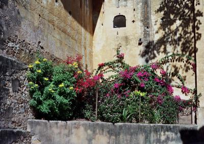 Garden at foot of Samode Palace's walls