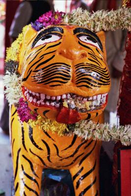 Tiger at Kalkaji Devi temple