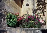 Garden at foot of Samode Palaces walls
