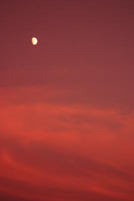 Sunset with moon, Shenandoah Valley