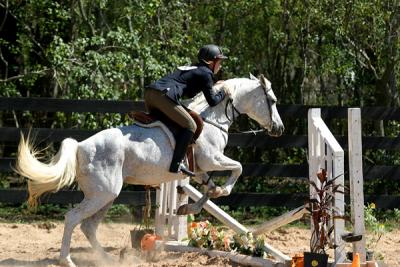 IMG_5748 copy.jpg