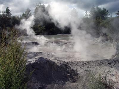 Waiotapu thermal area