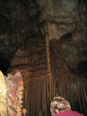 IMG_0150.jpg