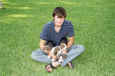 Adam's Bassett Puppies
