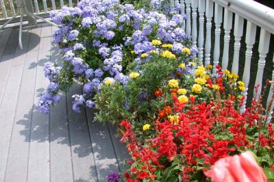 Deck Flowers