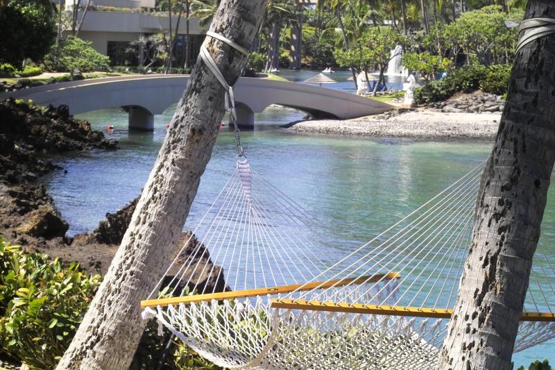 Hammock