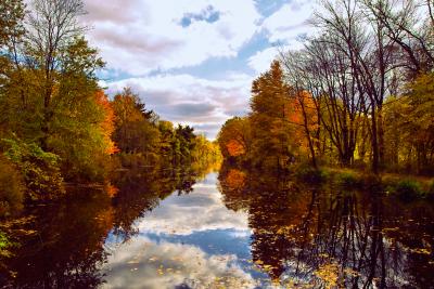 Fall Reflections