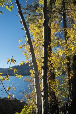 IMG03409.jpg Donner Lake