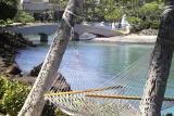 Hammock