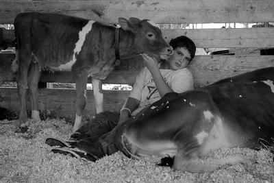 09-05-2005 - Blue Hill Fair Essay - 32 - BW.jpg