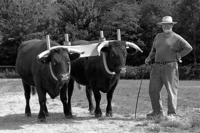 09-05-2005 - Blue Hill Fair Essay - 41 - BW.jpg