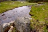 Swollen Brook - Brooklin Maine