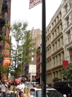 DSC06444.JPG