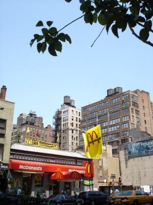 DSC06464.JPG