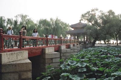 B_049.JPG