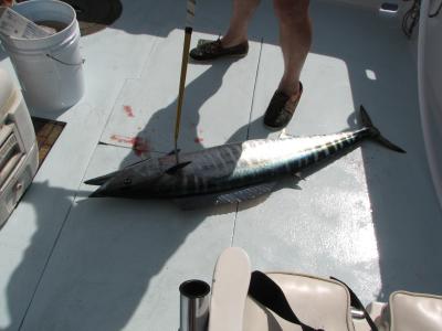 Rob's Wahoo.