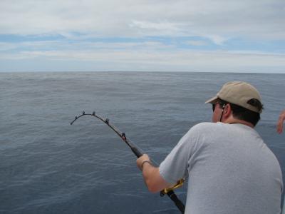 Trying to reel in the tuna.
