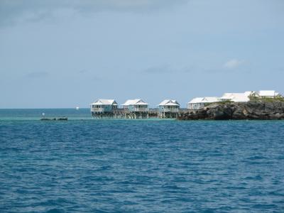 v3/41/23441/3/45842840.IMG_0135.jpg