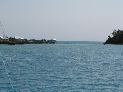 v3/41/23441/3/45842841.IMG_0138.jpg