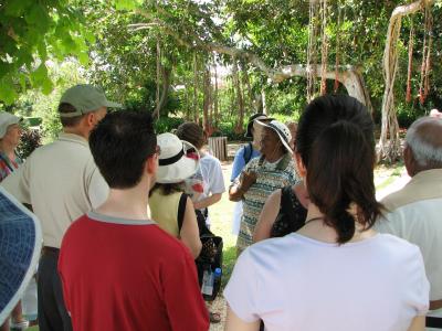 Tour of the botanical gardens.