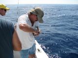 Releasing a small tuna.