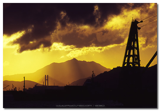 Western Harbour Crossing - 西隧