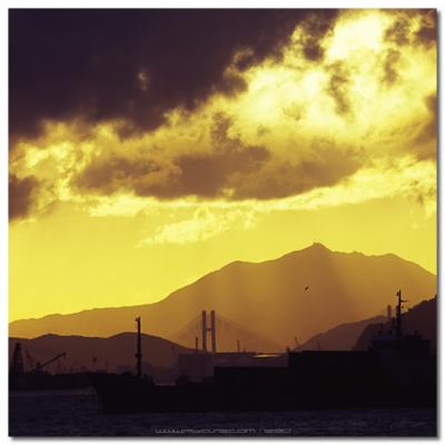 Western Harbour Crossing - 西隧