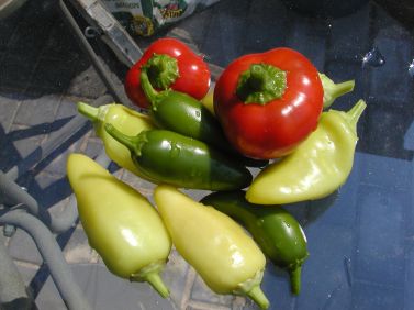 peppers.JPG