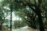New Orleans after Katrina