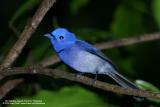 IMG_6776-cs2.jpg