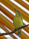 IMG_4534-800x600.jpg