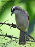IMG_4614-800x600.jpg