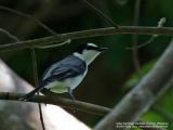 IMG_6825-800x600.jpg