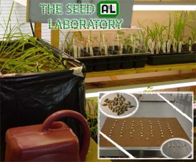 Seed Laboratory at A & L
