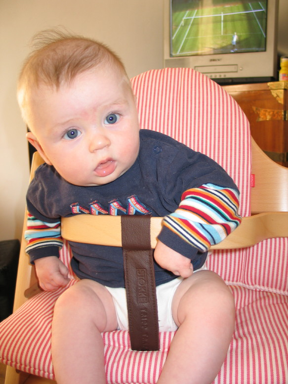 Rubens new trip chair
